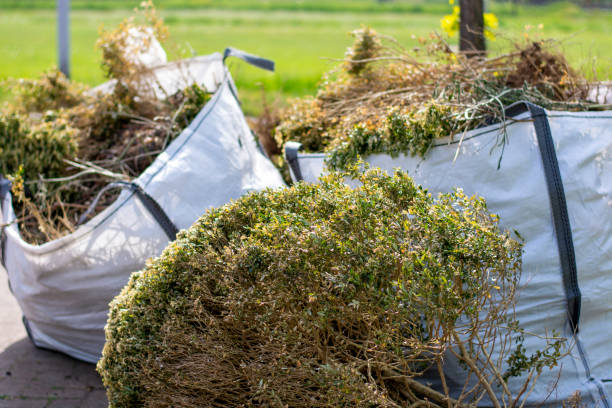 Best Mattress Disposal  in Clearwater, SC